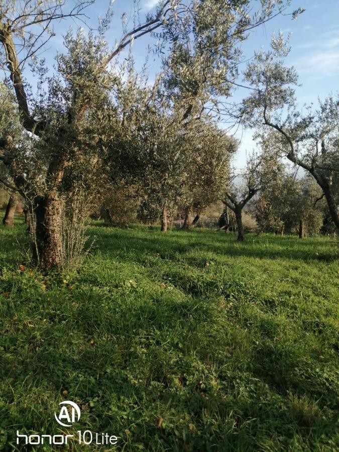 Appartamento Serenella Maenza 외부 사진