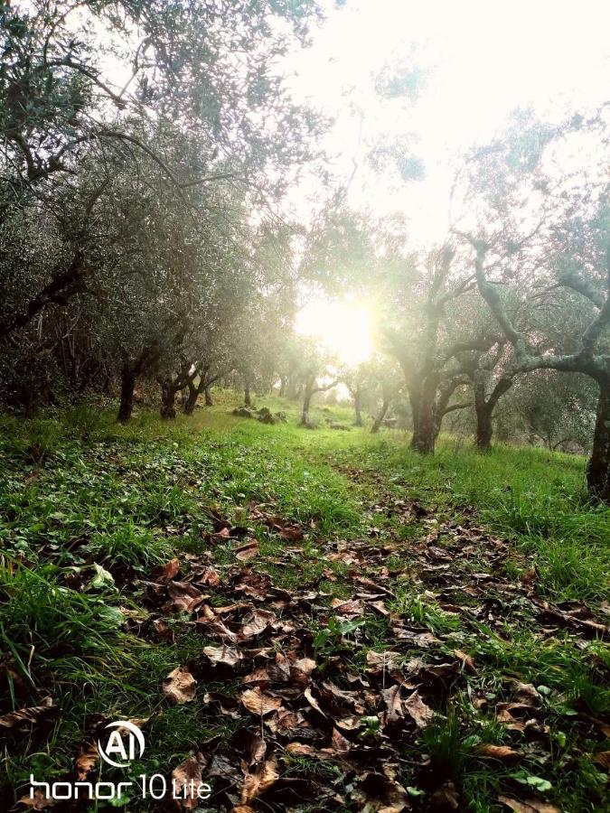 Appartamento Serenella Maenza 외부 사진